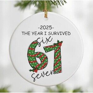 Six Seven Meme Ornament 2025 I Survived 6-7 Viral Slang TikTok Trend Funny Gift